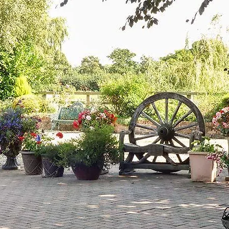 Golden Hill * Haxby