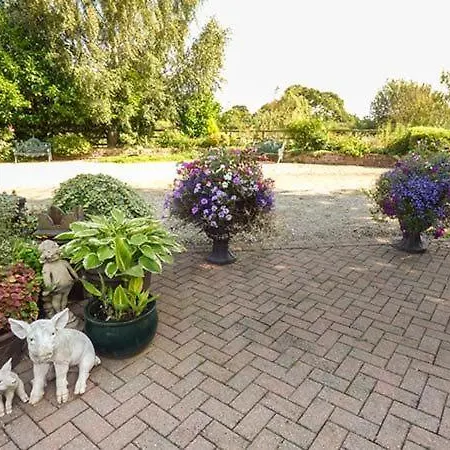 Golden Hill * Haxby